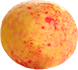 گریپ فروت | grapefruit