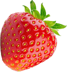 توت فرنگی | strawberry