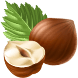 رویتال | فندوق | nut